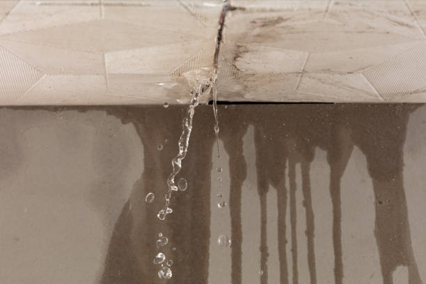 Professional Water Damage Repair technician working in Benwood, WV